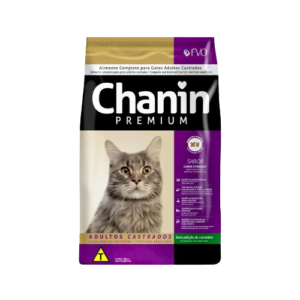 chanim-removebg-preview