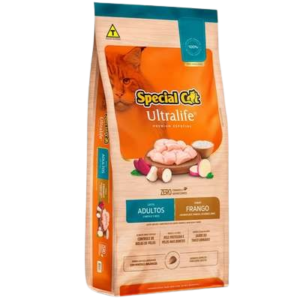 special_cat-removebg-preview